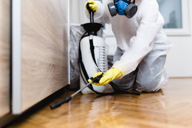 Best Local Pest Control Services  in Hansville, WA