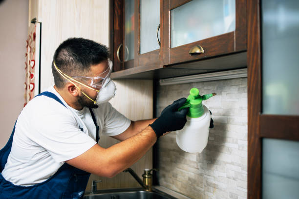 Best Affordable Pest Control Services  in Hansville, WA