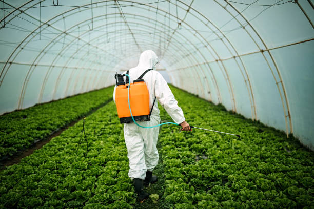 Best Affordable Pest Control Services  in Hansville, WA
