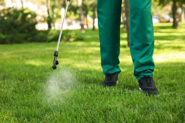 Best Bed Bug Extermination  in Hansville, WA
