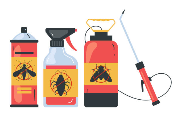 Best Termite Control Services  in Hansville, WA