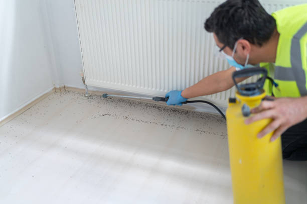 Best Commercial Pest Control Services  in Hansville, WA