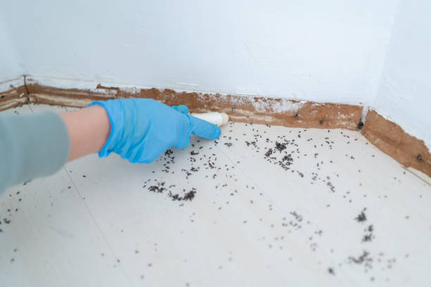 Wildlife Control Services in Hansville, WA